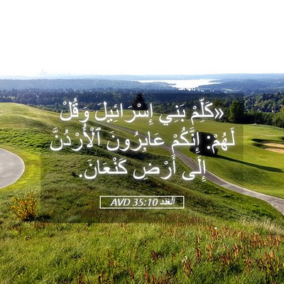 Picture 05 - اَلْعَدَد 35:10 AVD - «كَلِّمْ بَنِي - Bible Verse Picture