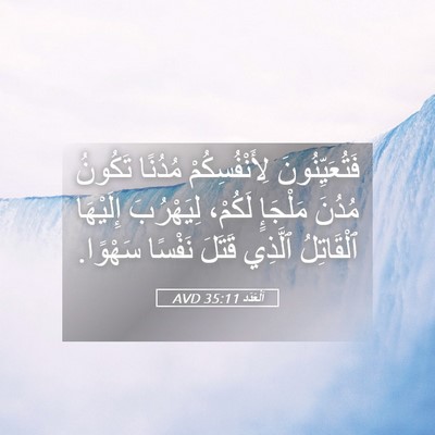 Picture 05 - اَلْعَدَد 35:11 AVD - فَتُعَيِّنُونَ - Bible Verse Picture