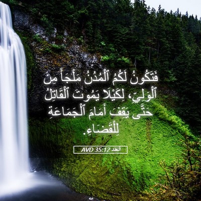 Picture 05 - اَلْعَدَد 35:12 AVD - فَتَكُونُ لَكُمُ - Bible Verse Picture