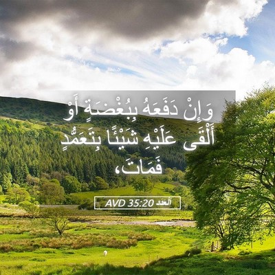 Picture 05 - اَلْعَدَد 35:20 AVD - وَإِنْ دَفَعَهُ - Bible Verse Picture