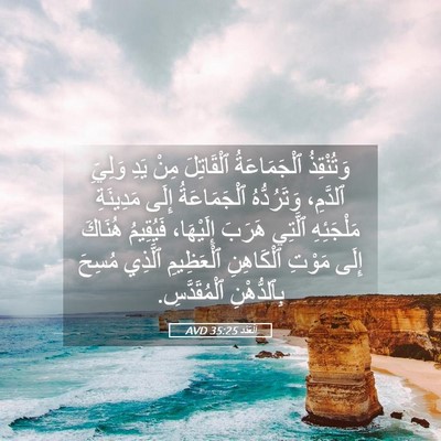 Picture 05 - اَلْعَدَد 35:25 AVD - وَتُنْقِذُ ٱلْجَمَاعَةُ - Bible Verse Picture