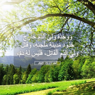 Picture 05 - اَلْعَدَد 35:27 AVD - وَوَجَدَهُ وَلِيُّ - Bible Verse Picture