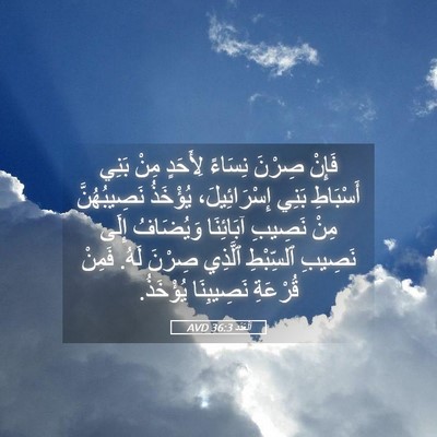 Picture 05 - اَلْعَدَد 36:3 AVD - فَإِنْ صِرْنَ نِسَاءً - Bible Verse Picture