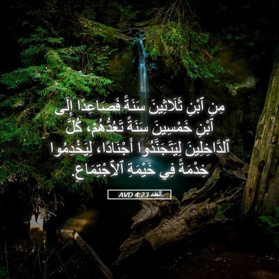 Picture 05 - اَلْعَدَد 4:23 AVD - مِنِ ٱبْنِ ثَلَاثِينَ - Bible Verse Picture