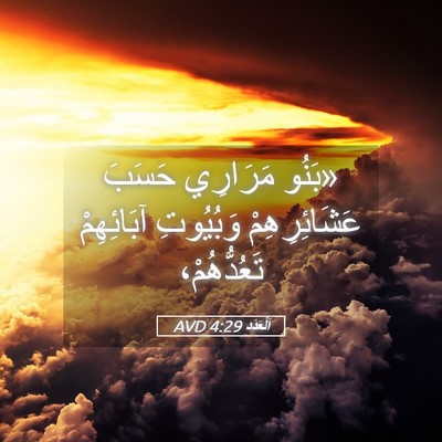Picture 05 - اَلْعَدَد 4:29 AVD - «بَنُو مَرَارِي حَسَبَ - Bible Verse Picture