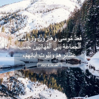 Picture 05 - اَلْعَدَد 4:34 AVD - فَعَدَّ مُوسَى وَهَارُونُ - Bible Verse Picture