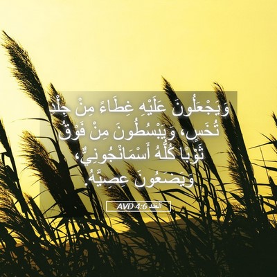 Picture 05 - اَلْعَدَد 4:6 AVD - وَيَجْعَلُونَ عَلَيْهِ - Bible Verse Picture