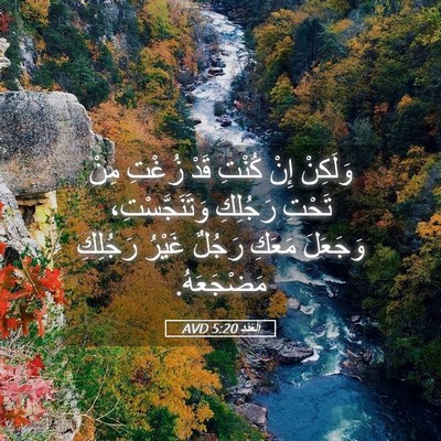 Picture 05 - اَلْعَدَد 5:20 AVD - وَلَكِنْ إِنْ كُنْتِ قَدْ - Bible Verse Picture