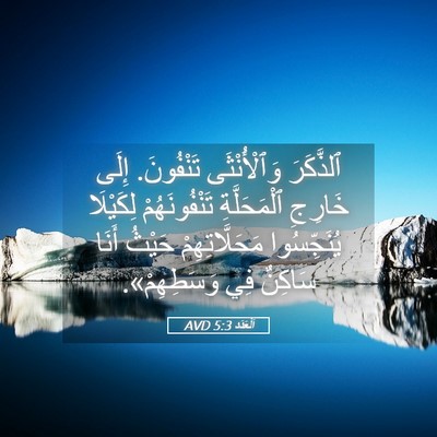 Picture 05 - اَلْعَدَد 5:3 AVD - ٱلذَّكَرَ وَٱلْأُنْثَى - Bible Verse Picture
