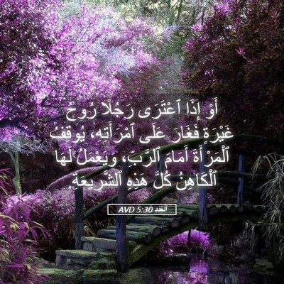 Picture 05 - اَلْعَدَد 5:30 AVD - أَوْ إِذَا ٱعْتَرَى - Bible Verse Picture