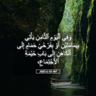 Picture 05 - اَلْعَدَد 6:10 AVD - وَفِي ٱلْيَوْمِ - Bible Verse Picture