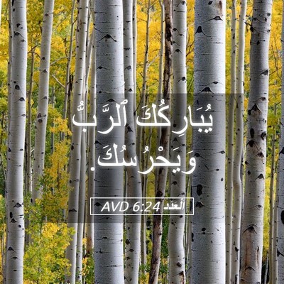 Picture 05 - اَلْعَدَد 6:24 AVD - يُبَارِكُكَ ٱلرَّبُّ - Bible Verse Picture