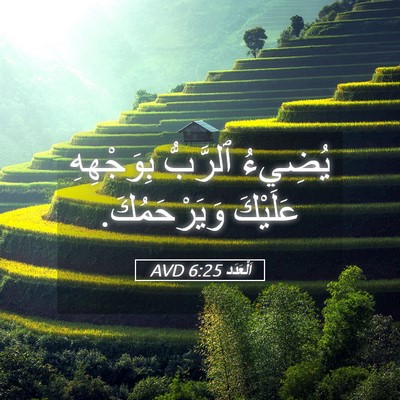 Picture 05 - اَلْعَدَد 6:25 AVD - يُضِيءُ ٱلرَّبُّ - Bible Verse Picture