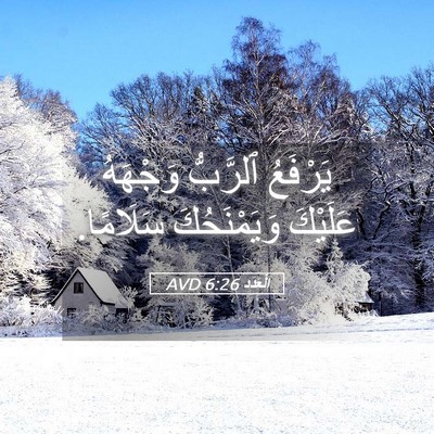 Picture 05 - اَلْعَدَد 6:26 AVD - يَرْفَعُ ٱلرَّبُّ - Bible Verse Picture