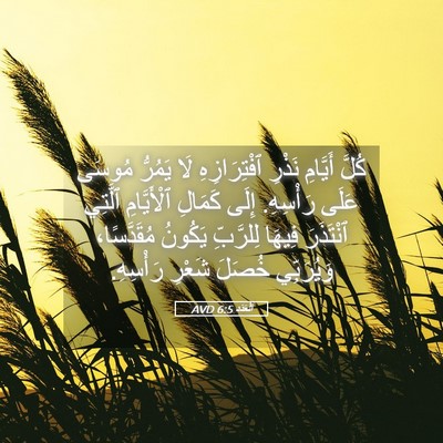 Picture 05 - اَلْعَدَد 6:5 AVD - كُلَّ أَيَّامِ نَذْرِ - Bible Verse Picture