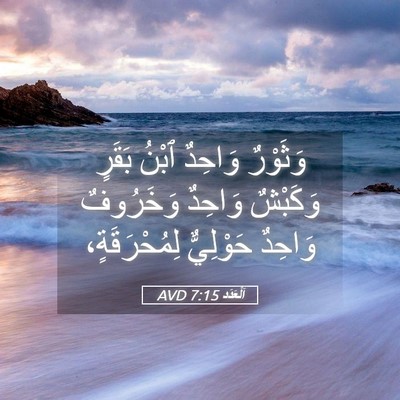 Picture 05 - اَلْعَدَد 7:15 AVD - وَثَوْرٌ وَاحِدٌ ٱبْنُ - Bible Verse Picture