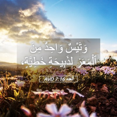 Picture 05 - اَلْعَدَد 7:16 AVD - وَتَيْسٌ وَاحِدٌ مِنَ - Bible Verse Picture