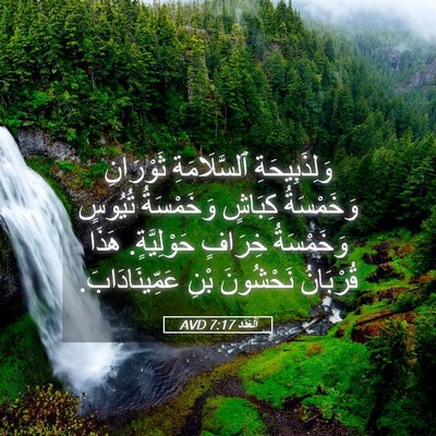 Picture 05 - اَلْعَدَد 7:17 AVD - وَلِذَبِيحَةِ - Bible Verse Picture