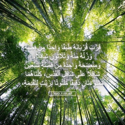 Picture 05 - اَلْعَدَد 7:19 AVD - قَرَّبَ قُرْبَانَهُ - Bible Verse Picture