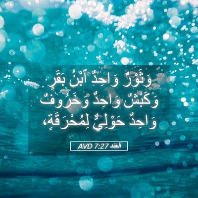 Picture 05 - اَلْعَدَد 7:27 AVD - وَثَوْرٌ وَاحِدٌ ٱبْنُ - Bible Verse Picture