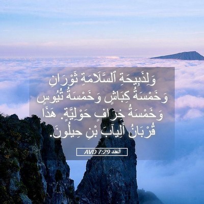 Picture 05 - اَلْعَدَد 7:29 AVD - وَلِذَبِيحَةِ - Bible Verse Picture