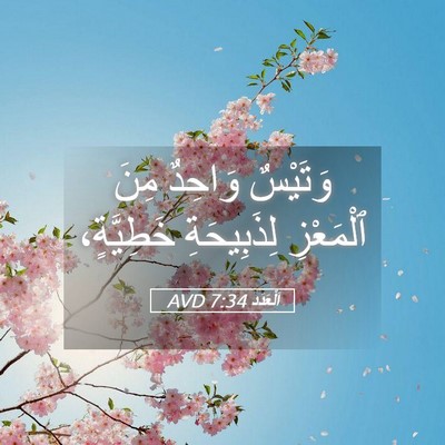 Picture 05 - اَلْعَدَد 7:34 AVD - وَتَيْسٌ وَاحِدٌ مِنَ - Bible Verse Picture