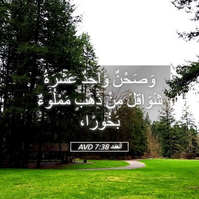 Picture 05 - اَلْعَدَد 7:38 AVD - وَصَحْنٌ وَاحِدٌ عَشَرَةُ - Bible Verse Picture