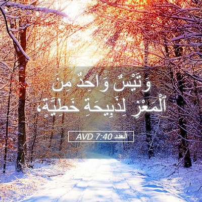 Picture 05 - اَلْعَدَد 7:40 AVD - وَتَيْسٌ وَاحِدٌ مِنَ - Bible Verse Picture