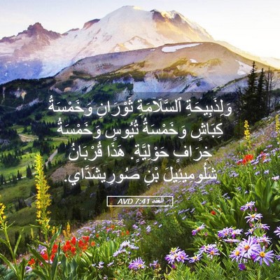 Picture 05 - اَلْعَدَد 7:41 AVD - وَلِذَبِيحَةِ - Bible Verse Picture