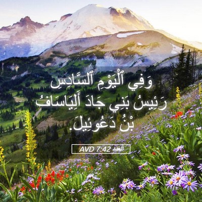 Picture 05 - اَلْعَدَد 7:42 AVD - وَفِي ٱلْيَوْمِ - Bible Verse Picture