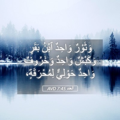 Picture 05 - اَلْعَدَد 7:45 AVD - وَثَوْرٌ وَاحِدٌ ٱبْنُ - Bible Verse Picture