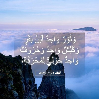 Picture 05 - اَلْعَدَد 7:51 AVD - وَثَوْرٌ وَاحِدٌ ٱبْنُ - Bible Verse Picture