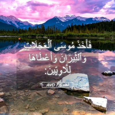 Picture 05 - اَلْعَدَد 7:6 AVD - فَأَخَذَ مُوسَى - Bible Verse Picture