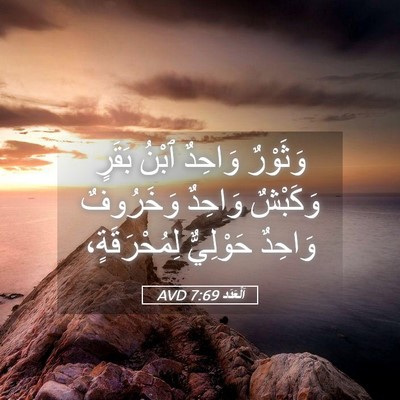 Picture 05 - اَلْعَدَد 7:69 AVD - وَثَوْرٌ وَاحِدٌ ٱبْنُ - Bible Verse Picture