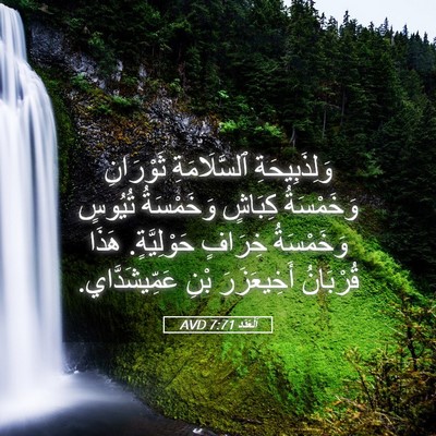 Picture 05 - اَلْعَدَد 7:71 AVD - وَلِذَبِيحَةِ - Bible Verse Picture
