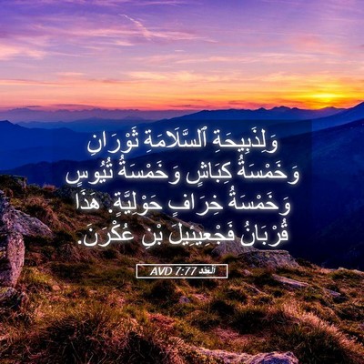 Picture 05 - اَلْعَدَد 7:77 AVD - وَلِذَبِيحَةِ - Bible Verse Picture