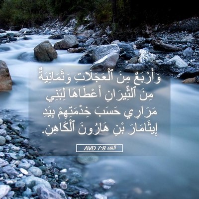 Picture 05 - اَلْعَدَد 7:8 AVD - وَأَرْبَعٌ مِنَ - Bible Verse Picture