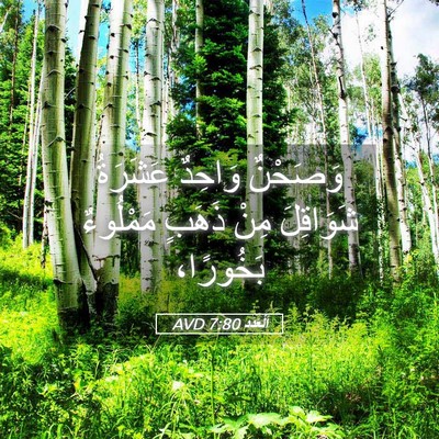 Picture 05 - اَلْعَدَد 7:80 AVD - وَصَحْنٌ وَاحِدٌ عَشَرَةُ - Bible Verse Picture