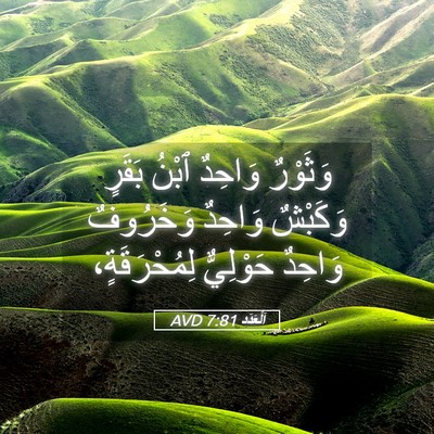 Picture 05 - اَلْعَدَد 7:81 AVD - وَثَوْرٌ وَاحِدٌ ٱبْنُ - Bible Verse Picture