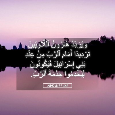 Picture 05 - اَلْعَدَد 8:11 AVD - وَيُرَدِّدُ هَارُونُ - Bible Verse Picture