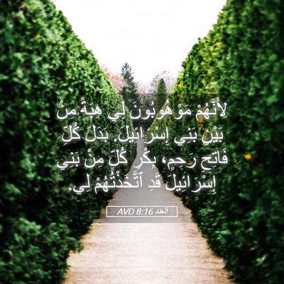Picture 05 - اَلْعَدَد 8:16 AVD - لِأَنَّهُمْ مَوْهُوبُونَ - Bible Verse Picture