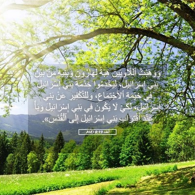 Picture 05 - اَلْعَدَد 8:19 AVD - وَوَهَبْتُ ٱللَّاوِيِّينَ - Bible Verse Picture