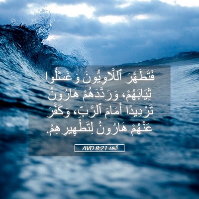 Picture 05 - اَلْعَدَد 8:21 AVD - فَتَطَهَّرَ - Bible Verse Picture