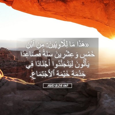 Picture 05 - اَلْعَدَد 8:24 AVD - «هَذَا مَا لِلَّاوِيِّينَ: - Bible Verse Picture
