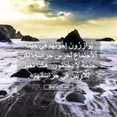 Picture 05 - اَلْعَدَد 8:26 AVD - يُوازِرُونَ إِخْوَتَهُمْ - Bible Verse Picture