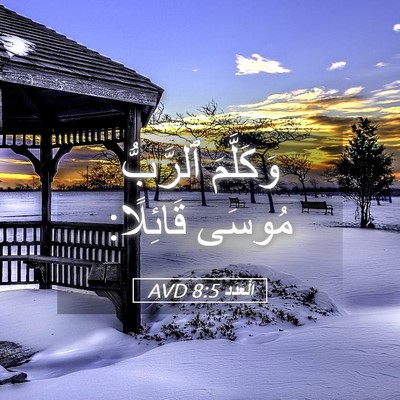 Picture 05 - اَلْعَدَد 8:5 AVD - وَكَلَّمَ ٱلرَّبُّ مُوسَى - Bible Verse Picture