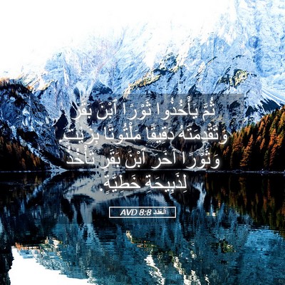Picture 05 - اَلْعَدَد 8:8 AVD - ثُمَّ يَأْخُذُوا ثَوْرًا - Bible Verse Picture