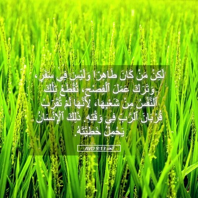 Picture 05 - اَلْعَدَد 9:13 AVD - لَكِنْ مَنْ كَانَ طَاهِرًا - Bible Verse Picture