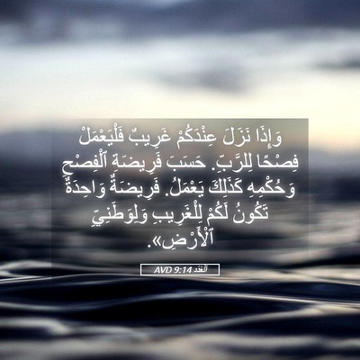Picture 05 - اَلْعَدَد 9:14 AVD - وَإِذَا نَزَلَ عِنْدَكُمْ - Bible Verse Picture