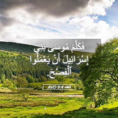 Picture 05 - اَلْعَدَد 9:4 AVD - فَكَلَّمَ مُوسَى بَنِي - Bible Verse Picture